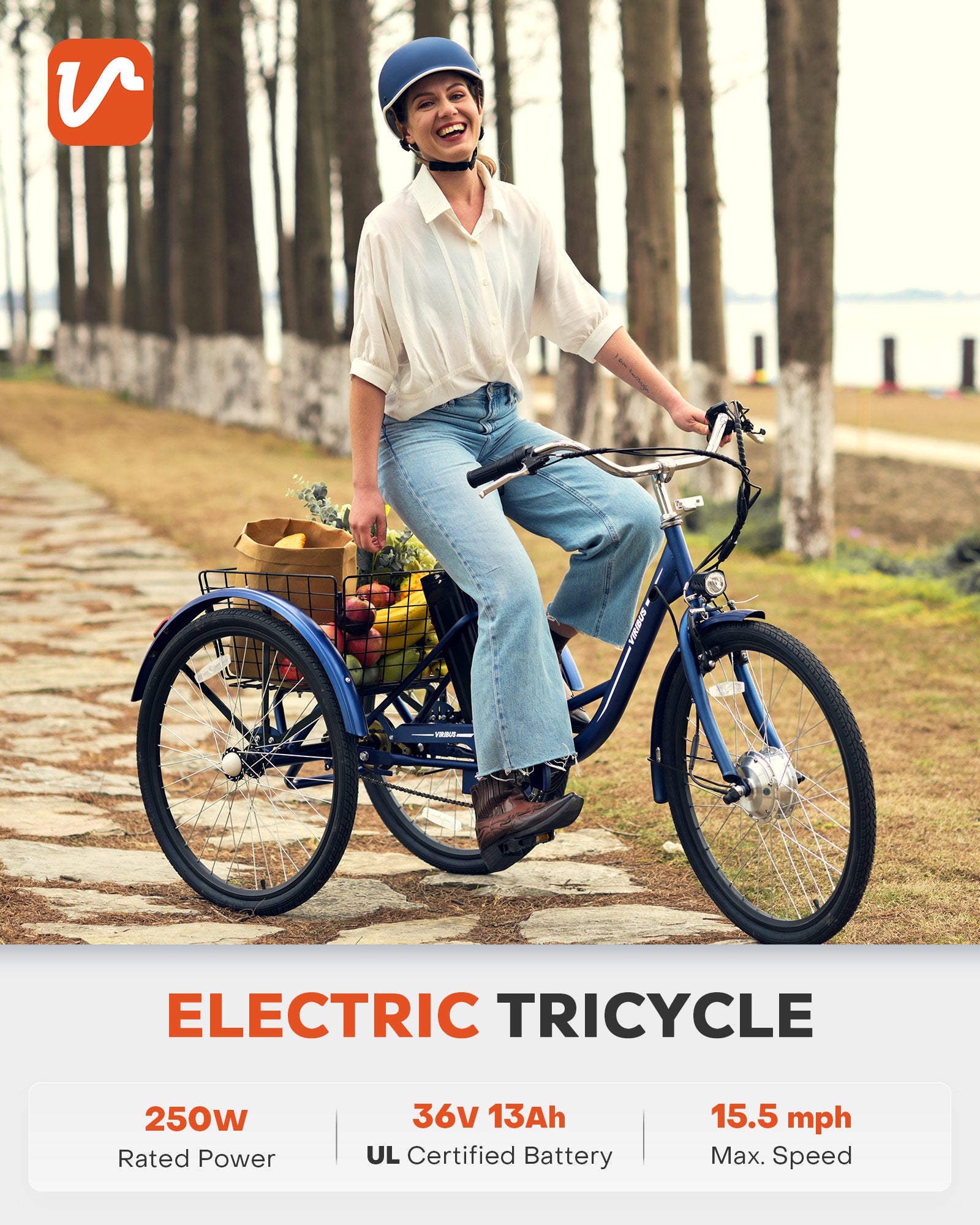 Viribus TG1 Electric Tricycle