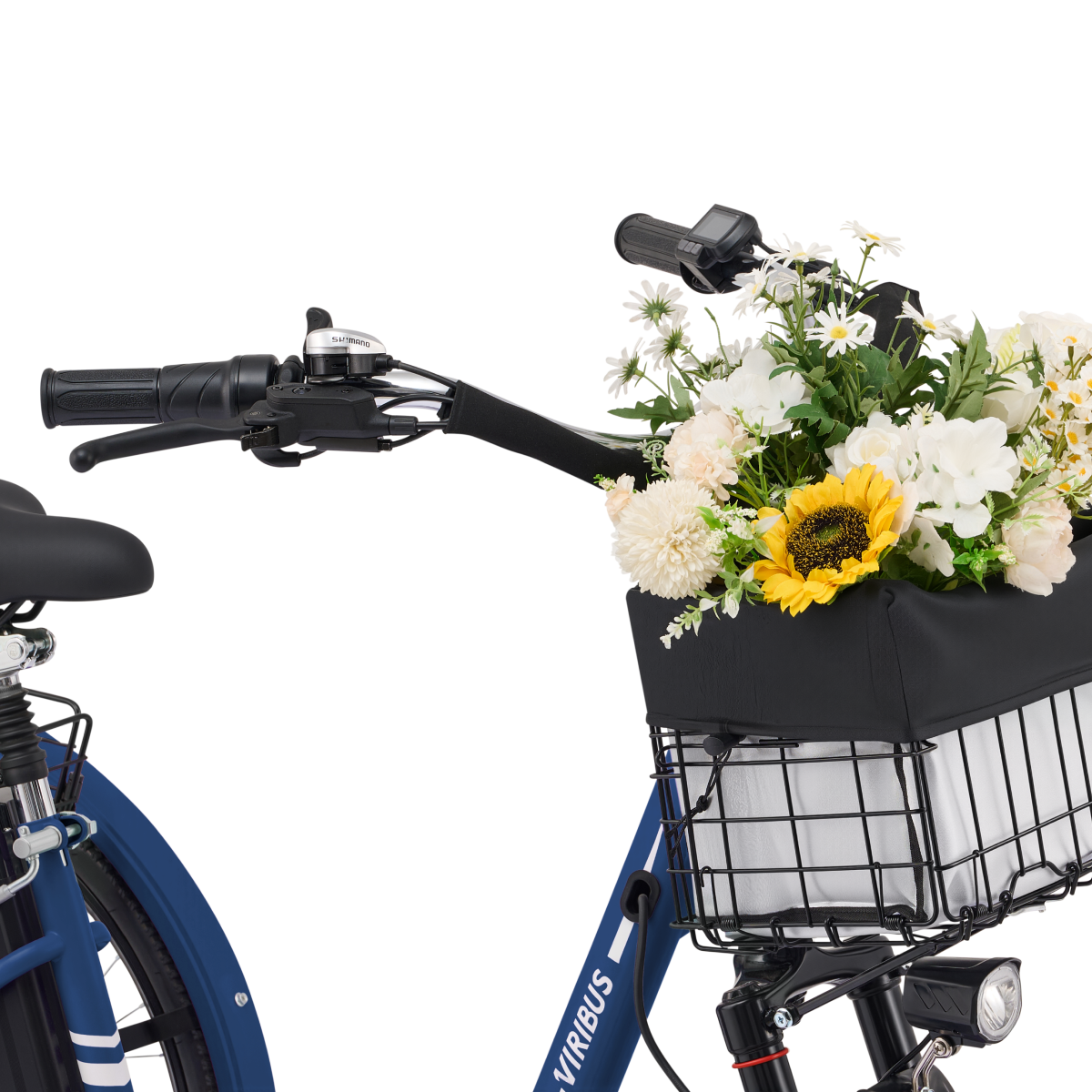 Viribus TG1 Electric Tricycle