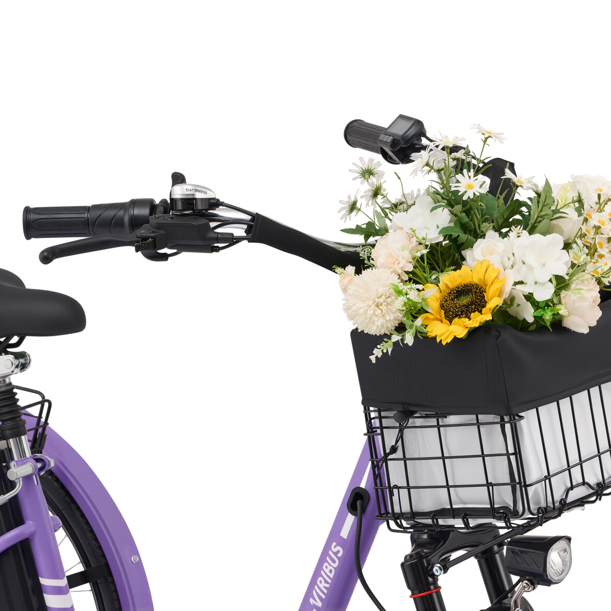 Viribus TG1 Electric Tricycle