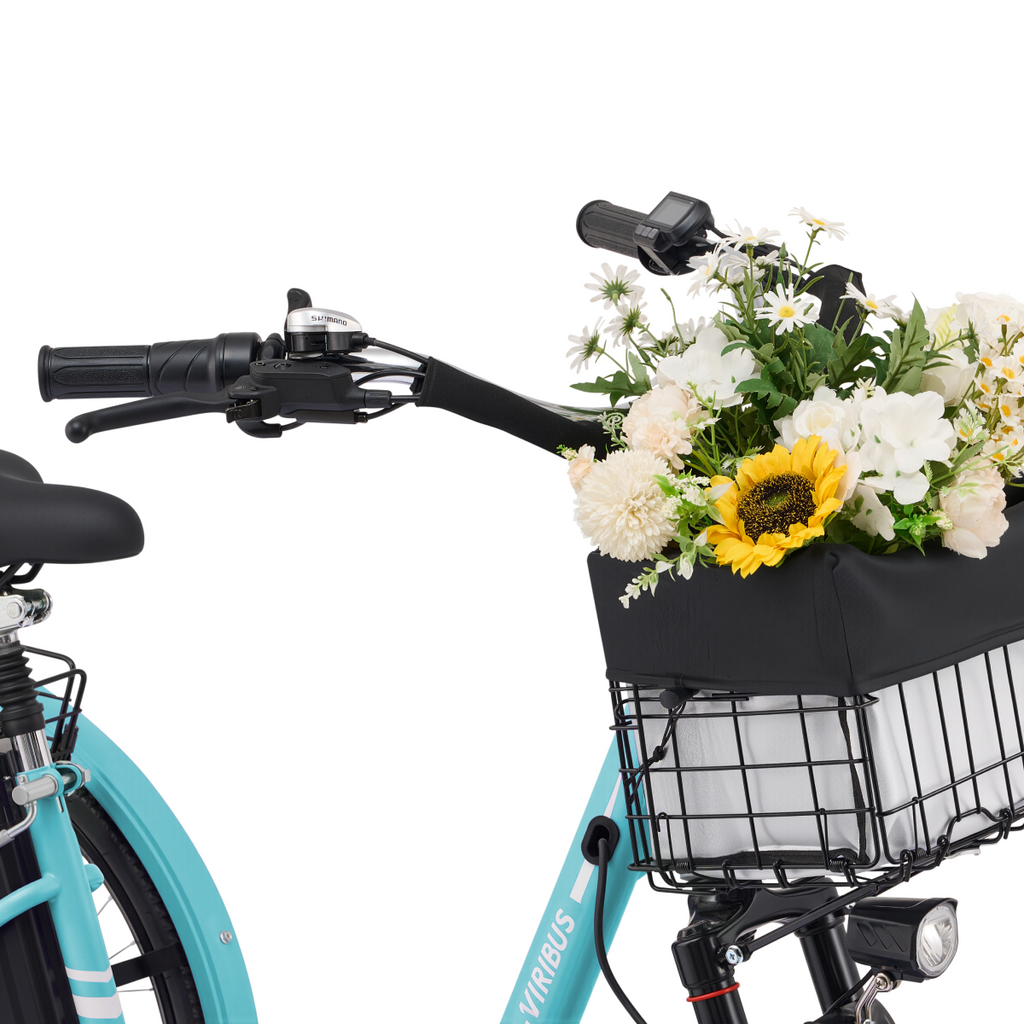 Viribus TG1 Electric Tricycle