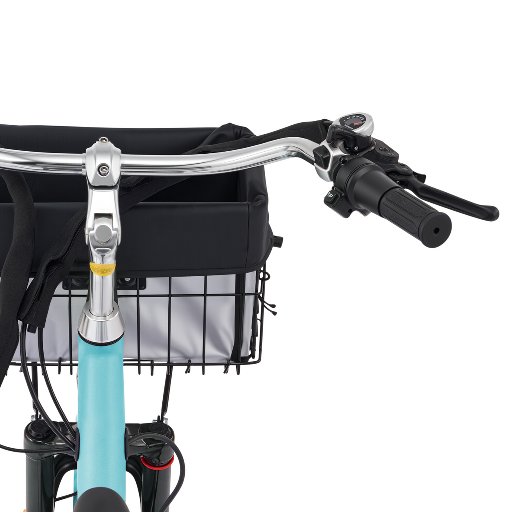 Viribus TG1 Electric Tricycle