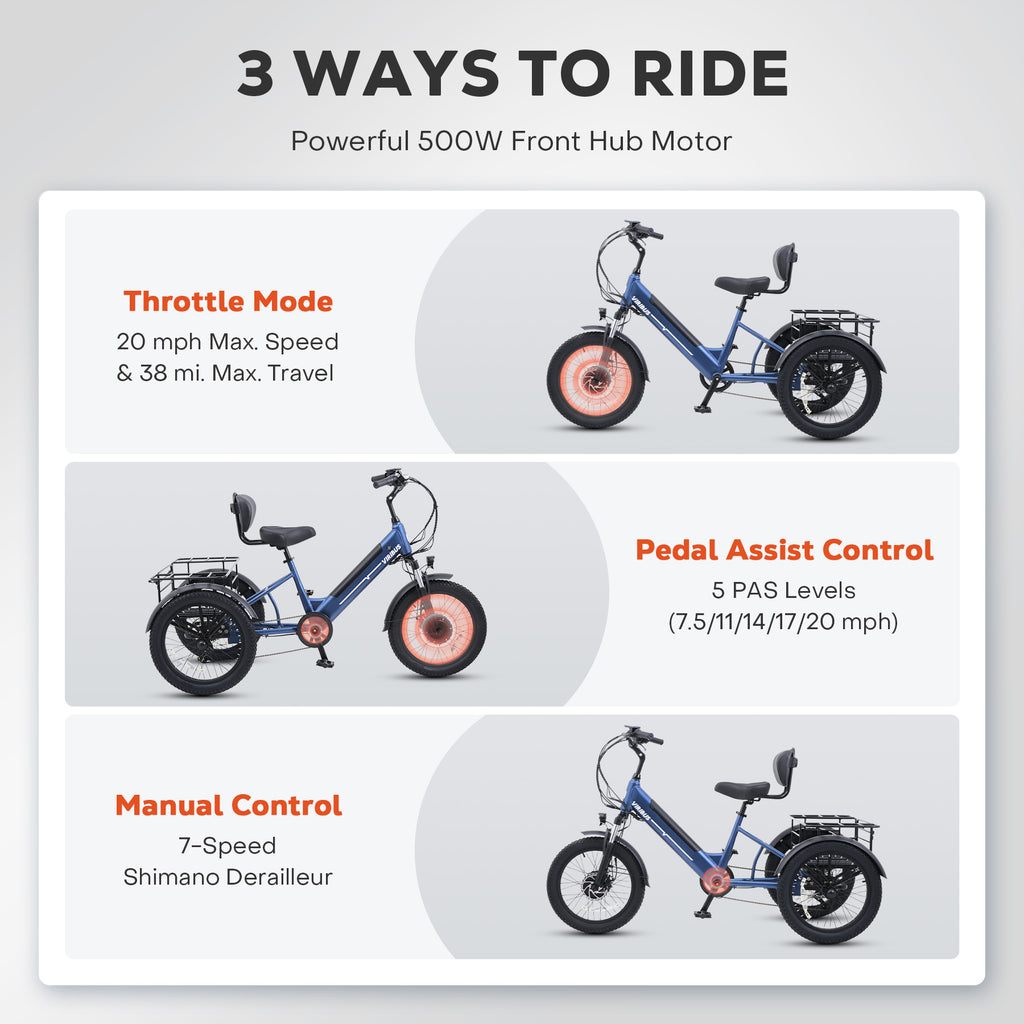 Viribus SC5 Fat Tire Electric Tricycle