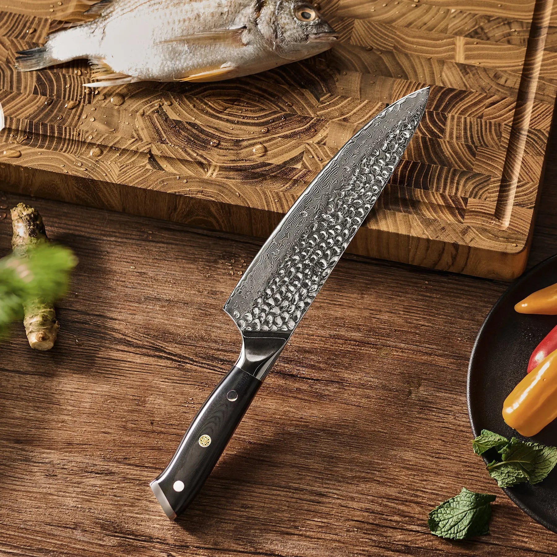 8" Gyuto Chef Knife VG10 Damascus Steel | Shogun Series