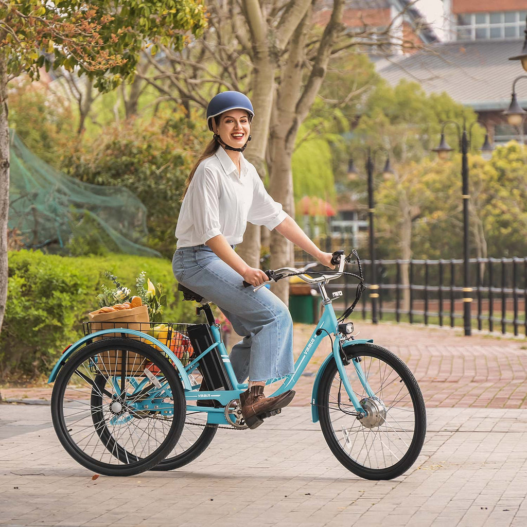 Viribus TG1 Electric Tricycle