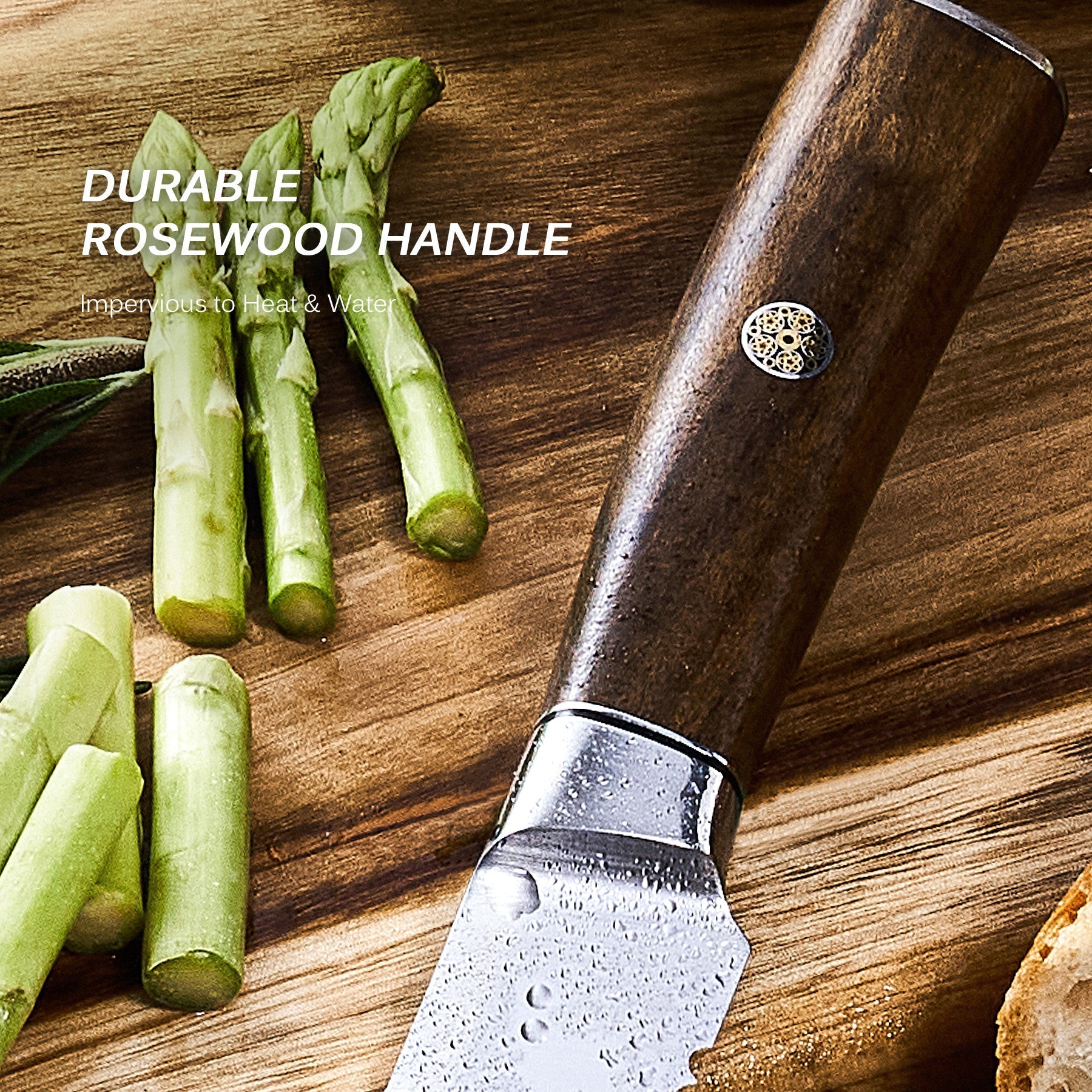 10" Bread Knife 440C Steel  | Daimyo Series