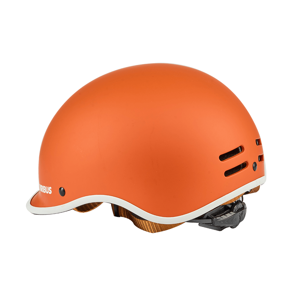 Viribus Bike Helmet